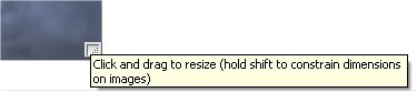 Resize handle